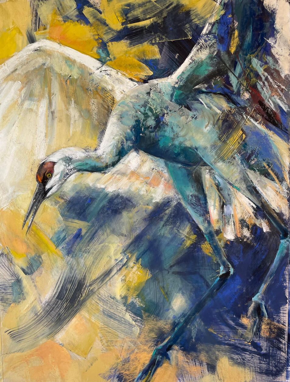 Dance of the Sand Hill Crane 2