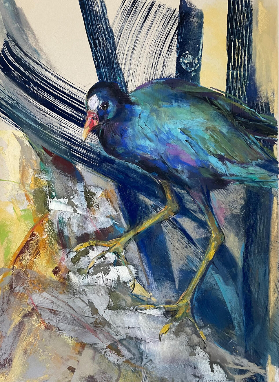 Purple Gallinule