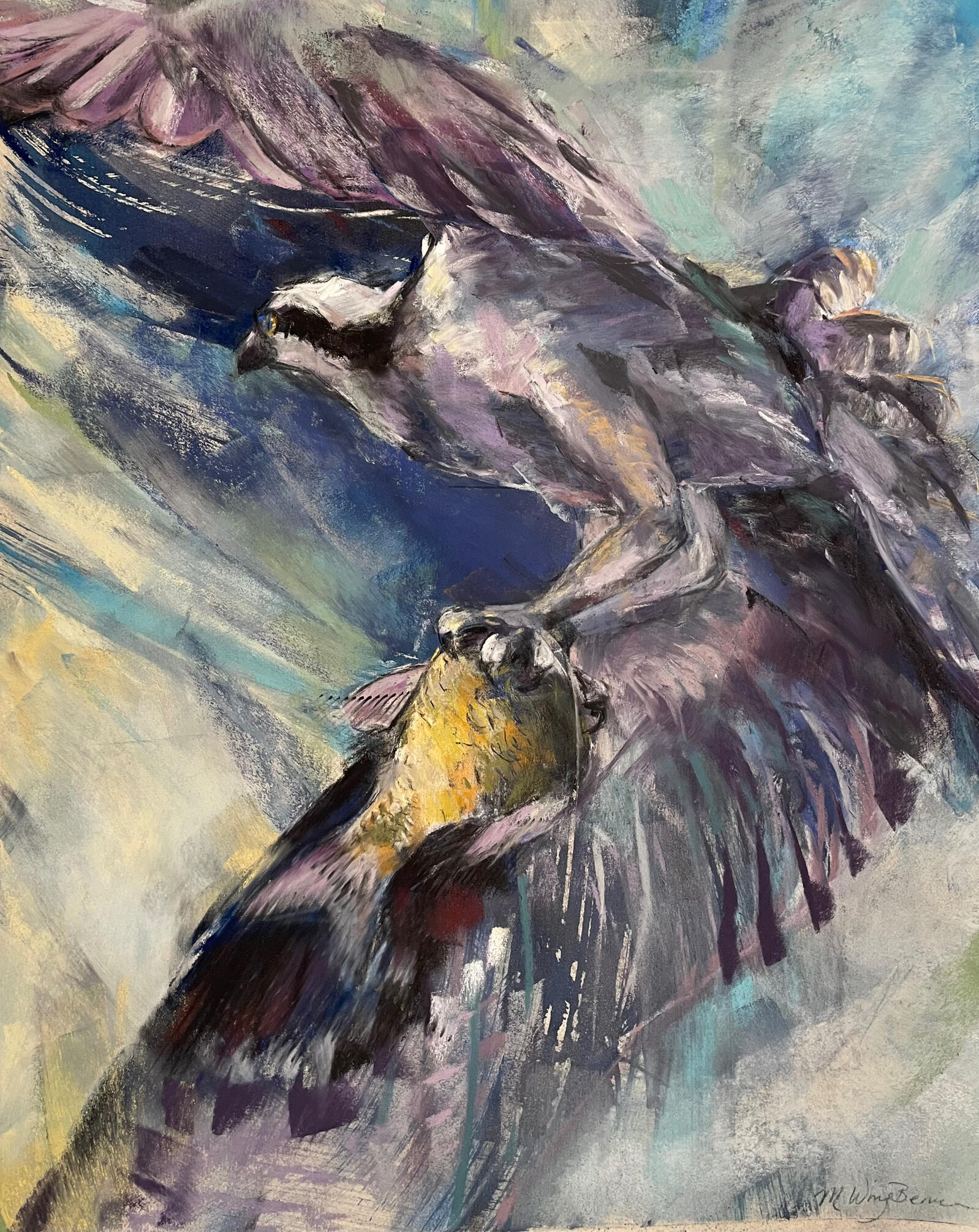 Osprey Osprey