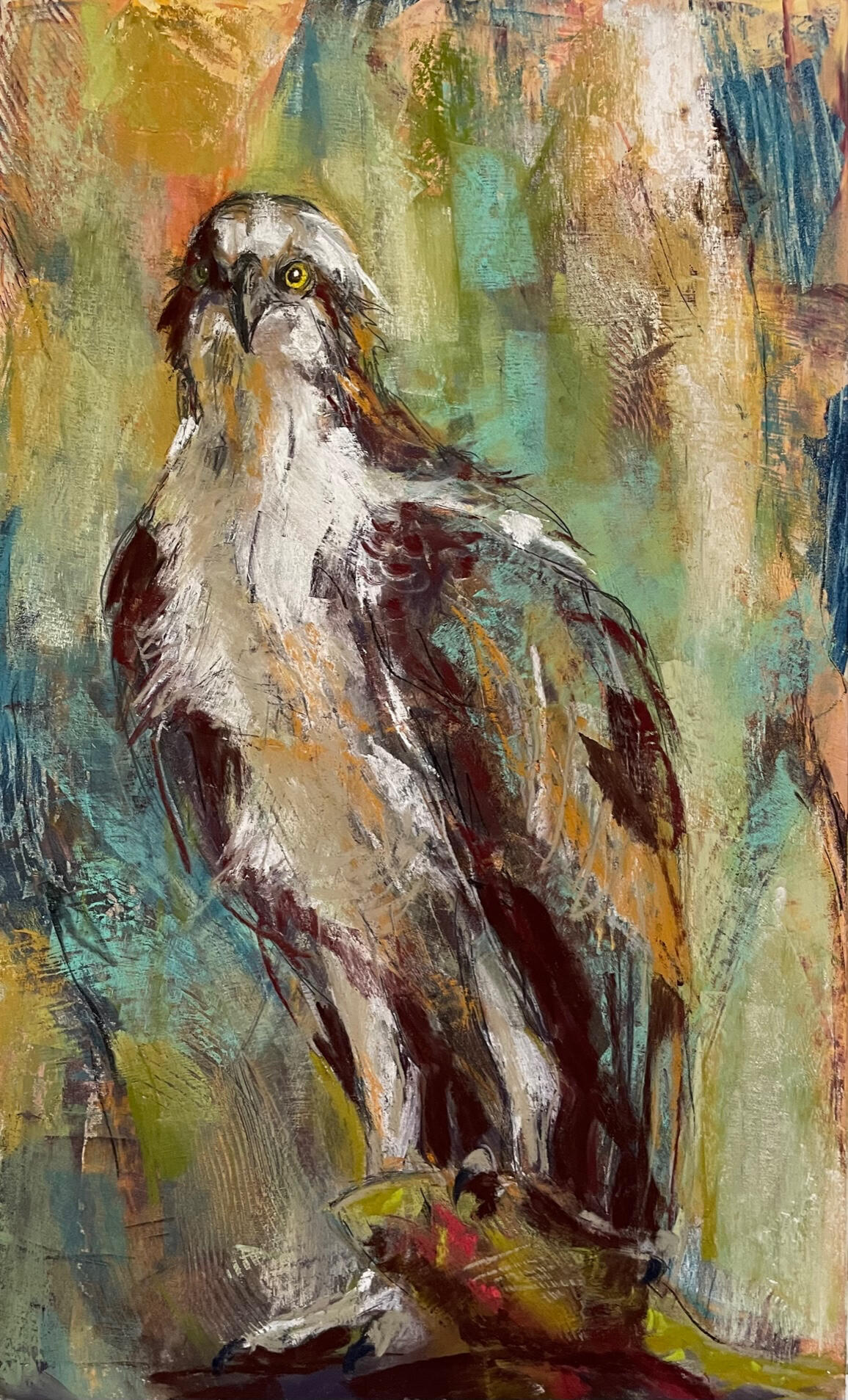 Osprey Osprey