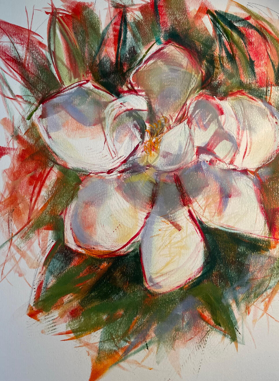 Magnolia